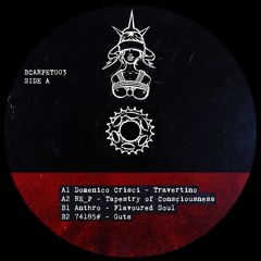 Premiere: RE_P - Tapestry of Consciousness [Black Carpet]
