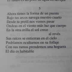 La procesión del tono