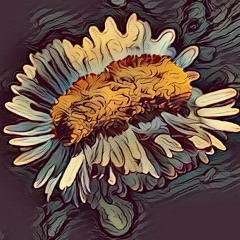 DARK 2018 Hip-hop Trap Rap Instrumental "DAISY-PUSHER" - (PROD. RanchoFromTha301)