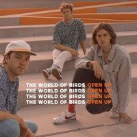 The World Of Birds - Open Up