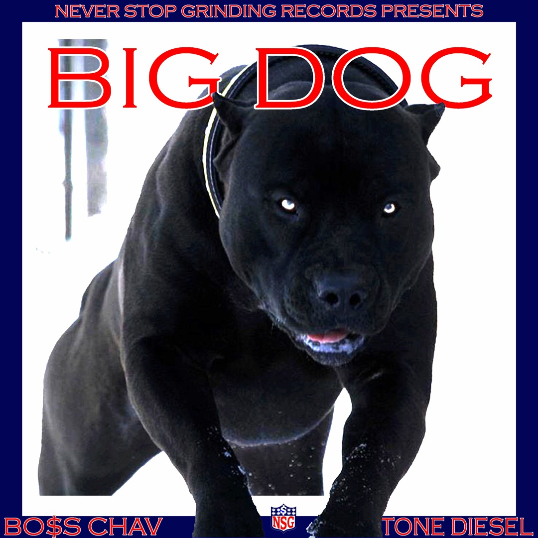 The Big Dog / Call It What'cha Want CD 1995 US Original C&C