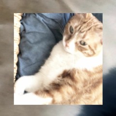 TRYNA CHILL (PROD. LC2K)