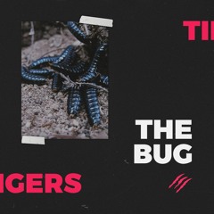 Tiigers - The Bug