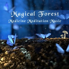 Medicine Meditation Song (Magic Forest) Psychedelic Relaxation Music