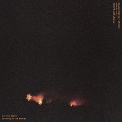 PREMIERE : Citizen Maze - Natural Playground