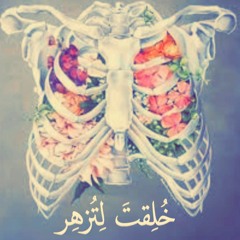 -برنامج "خلقت لتزهر" -الحلقة الأولى