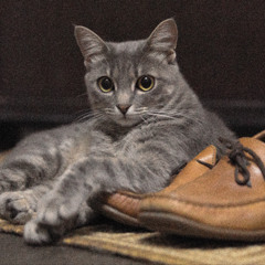 Мурчалка Ася