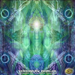 Psy-Mr. - Into The Tunnel - Out on V.A. VISIONARY WORLDS - by Visionary Shamanics Rec. Free Download