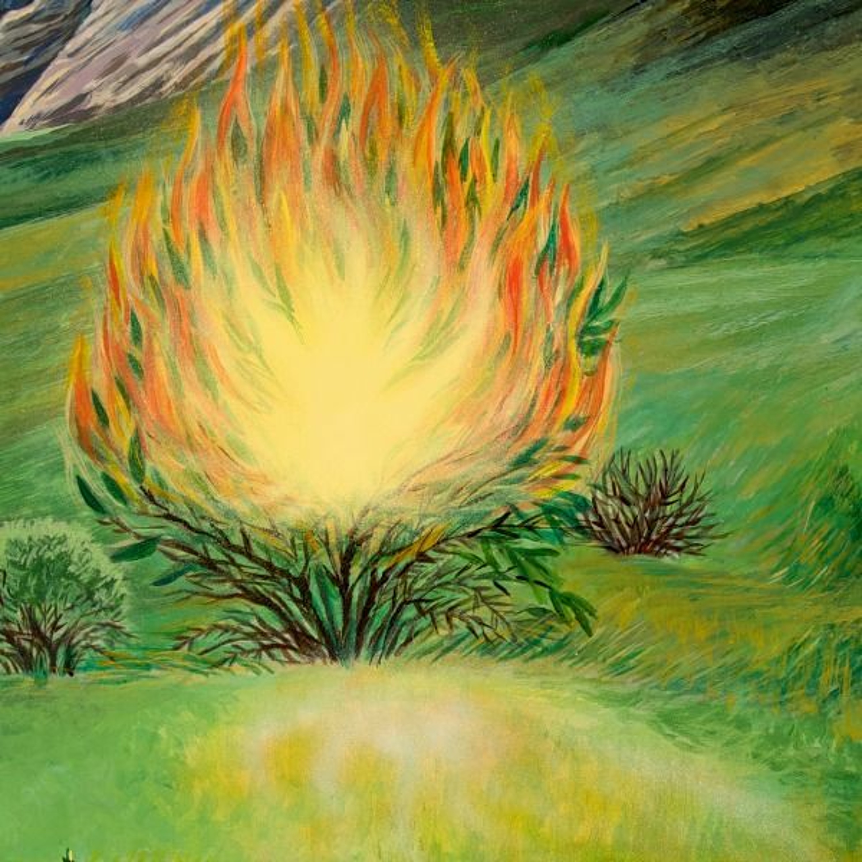 Терновый куст неопалимая купина. Горит куст библия. Горит куст библия. Неопалимая купина ветхий завет. Неопалимая купина горящий куст.