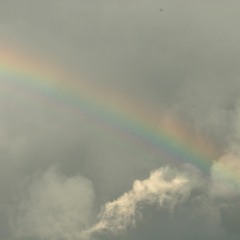 CoverJust Breathe by Eddie Vedder