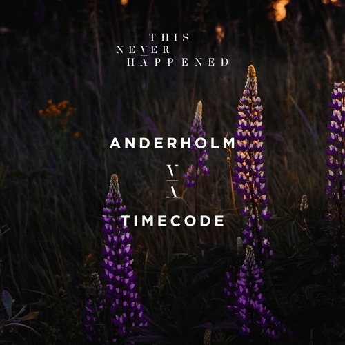 Anderholm - Timecode