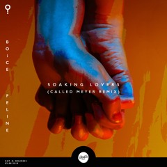 BOiCE Ft. Feline - Soaking Lovers (Called Meyer Remix)