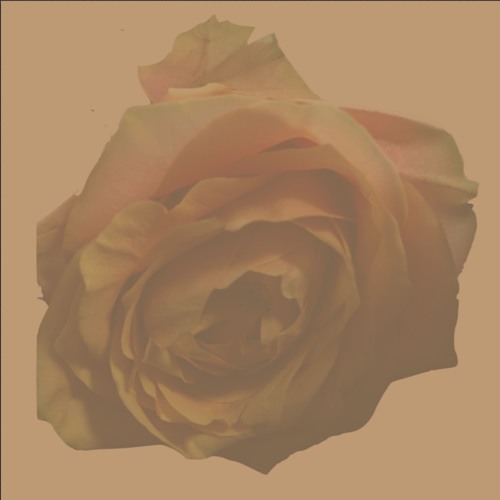 (M), I'm Sorry - prod. by Ocean