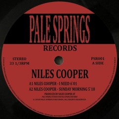 PREMIERE: Niles Cooper - I Need [Pale Springs Records]
