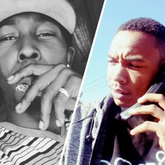 canadian goose remix.mp3