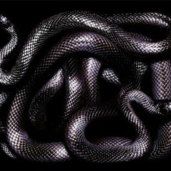 Wassup (REMIX) MADUSA