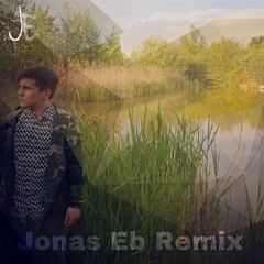 Meine Hand (Remix) - Jonas Eb & Mariuslu