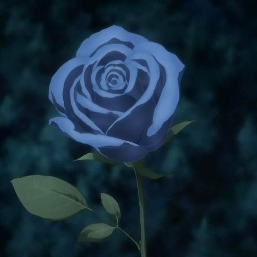 Blue Rose