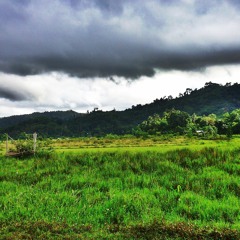 Kuta Bulud Tarabang Talampau Tinggi (Kota Belud Fly Too High)