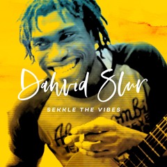"Sekkle the vibes" DAHVID SLUR available on digital format