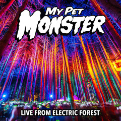 Live From Electric Forest