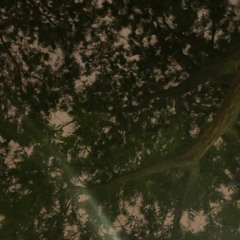 Self-Convo (prod. PAYSR)