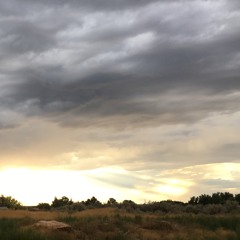 I Played This To My Six Year Old Cousin And He Danced