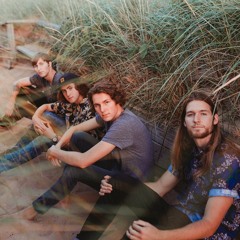 Local Spins on WYCE Ep202 The Skinny Limbs