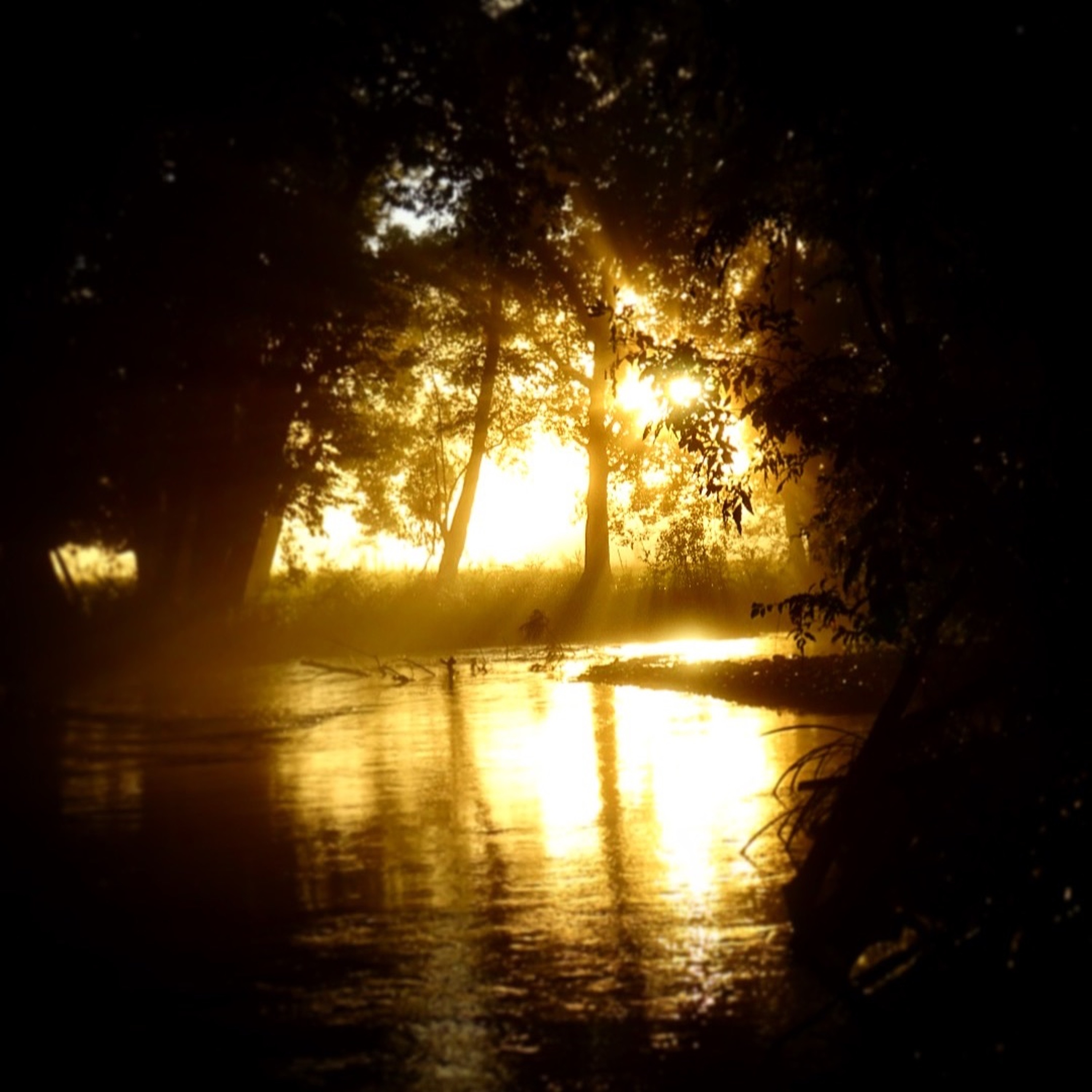 Buffer Creek episode artwork