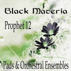 Dsi Prophet 12 presets Black Materia - Pads & Ensembles Pt1