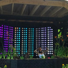 Live @ Future Forest 2018 (The Warrior Mix)