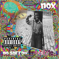 no sorrow freestyle prod. by neiibur