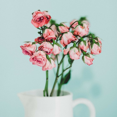 flowers (feat. daehan)