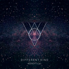 Different Kind (feat. c.a.t.)