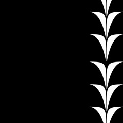 SUPERNOVA (NOVA Multi-Flip)