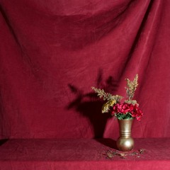 Give thanks in a special way