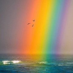 What do you find at the end of the rainbow? ✨