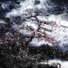 Saeryel - When Time Fades Away | Wintersun cover