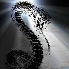 Black Snake Meets Von Jovi