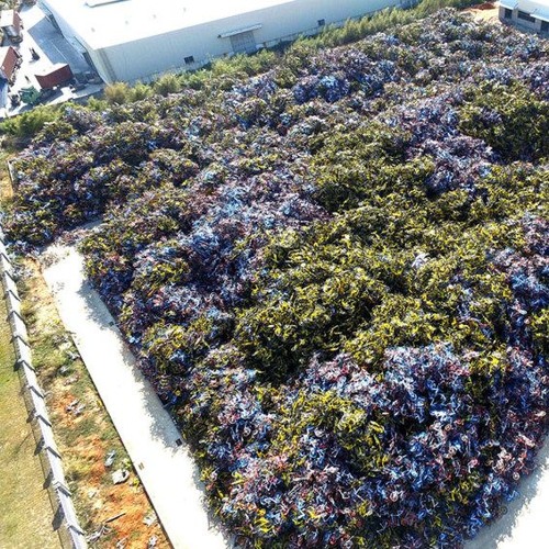 Guy at Work [w/ Sharon]