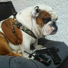 MC PQD - QUERO VER TU ATURAR OS PITBULL DO DA FÉ ( VAI QUEM QUER 2018 )