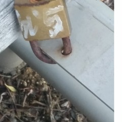 Schatzi.Häsi.Süßi.Baby.2