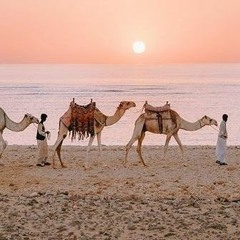 رسايل 3