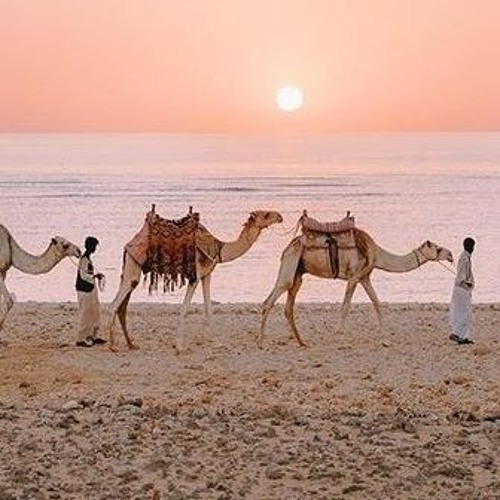رسايل 3