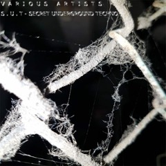 Multiphetamin - S.U.T (Original Mix) [Traumuart]
