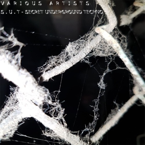 Multiphetamin - S.U.T (Original Mix) [Traumuart]