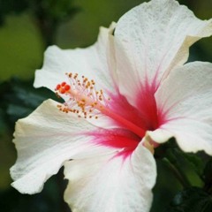 Flower Power!!