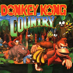 Jungle Groove