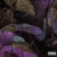 Hard To Reach (Single Version)