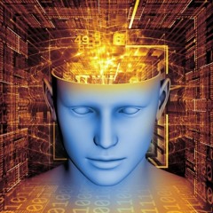 Simulation - Ready your Mind